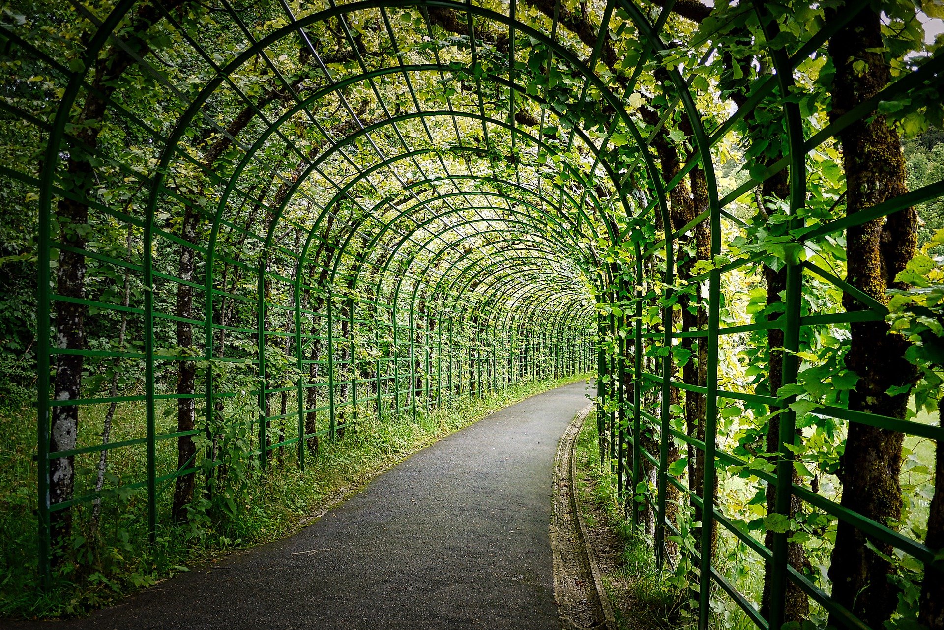 Pergola en fer à Aix-en-Provence